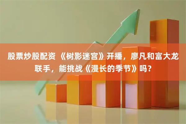 股票炒股配资 《树影迷宫》开播，廖凡和富大龙联手，能挑战《漫长的季节》吗？